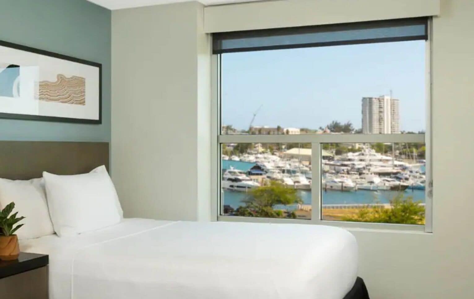 Vista desde la habitación