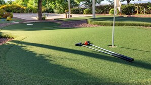 A miniature golf course with a putting green, a hole, and a golf ball.