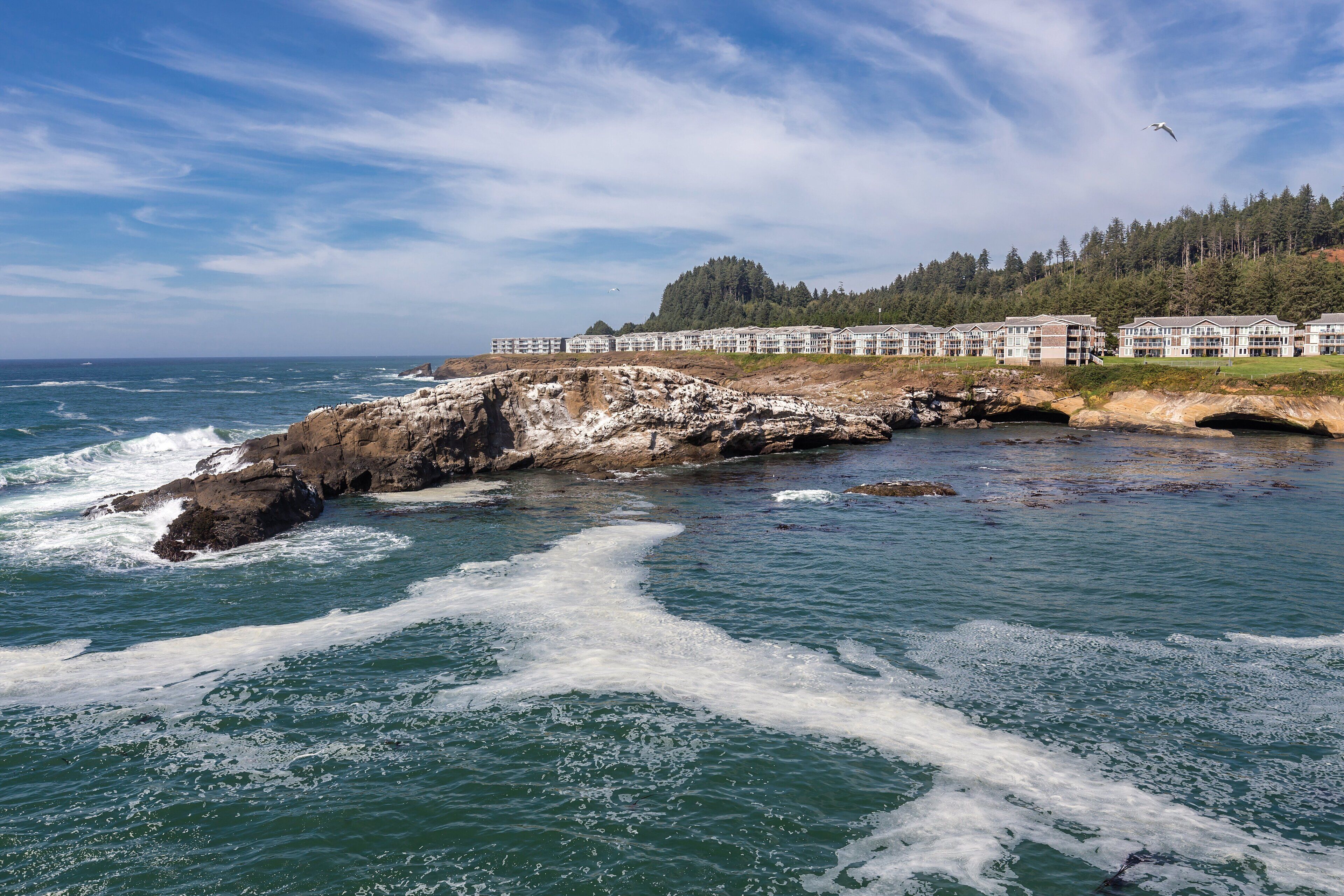 A coastal hotel with a rocky shoreline, ocean waves, and a forested hill in the background.