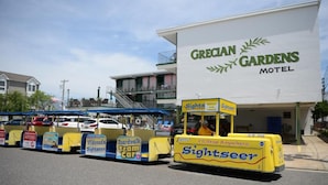 Una fila di veicoli turistici gialli davanti al motel Grecan Gardens.