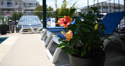 Grecian Gardens Motel