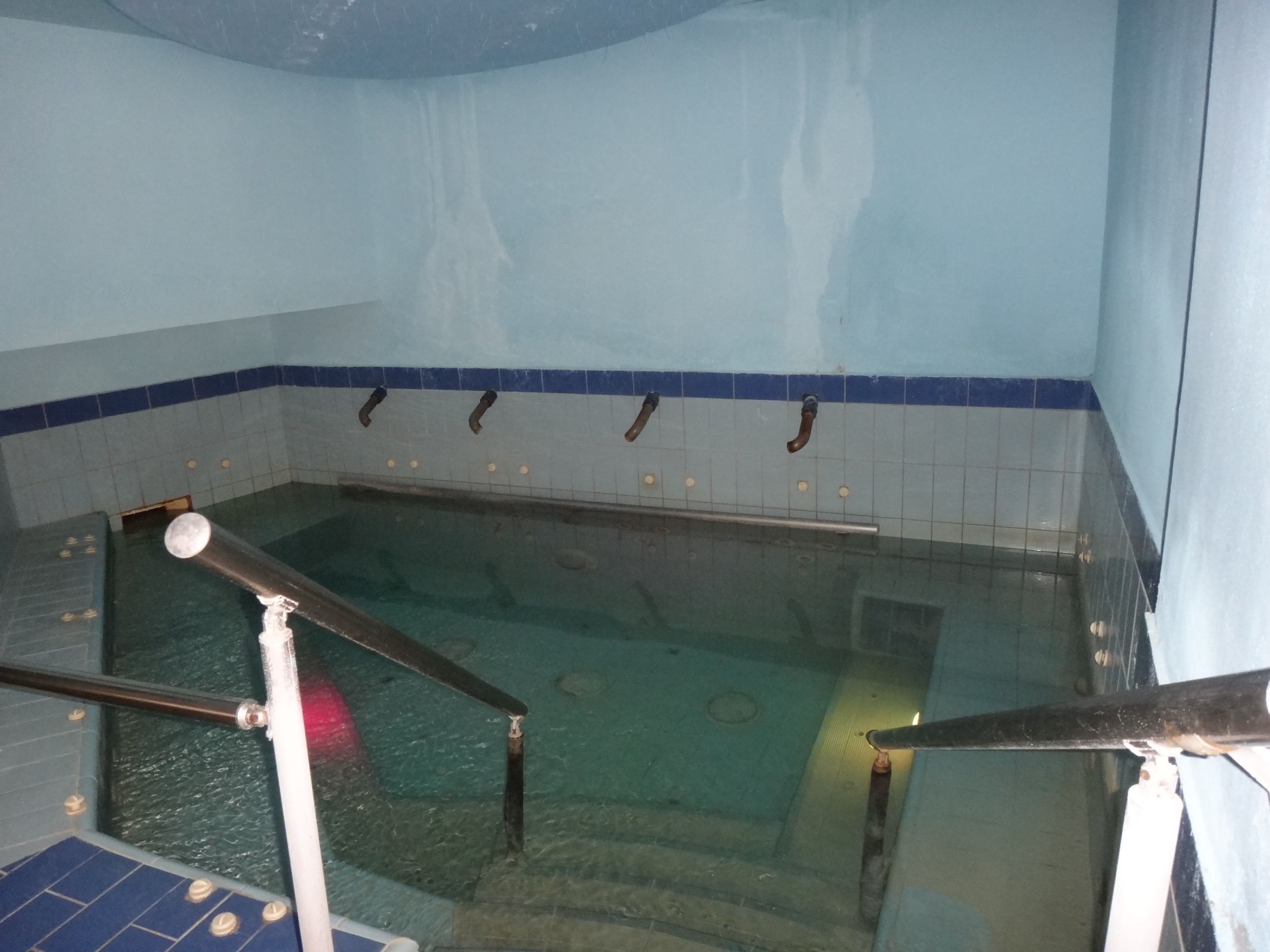 A swimming pool with a tiled interior, a metal ladder, and a blue-tiled border.