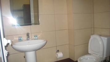 A bathroom with a sink, toilet, and a mirror.