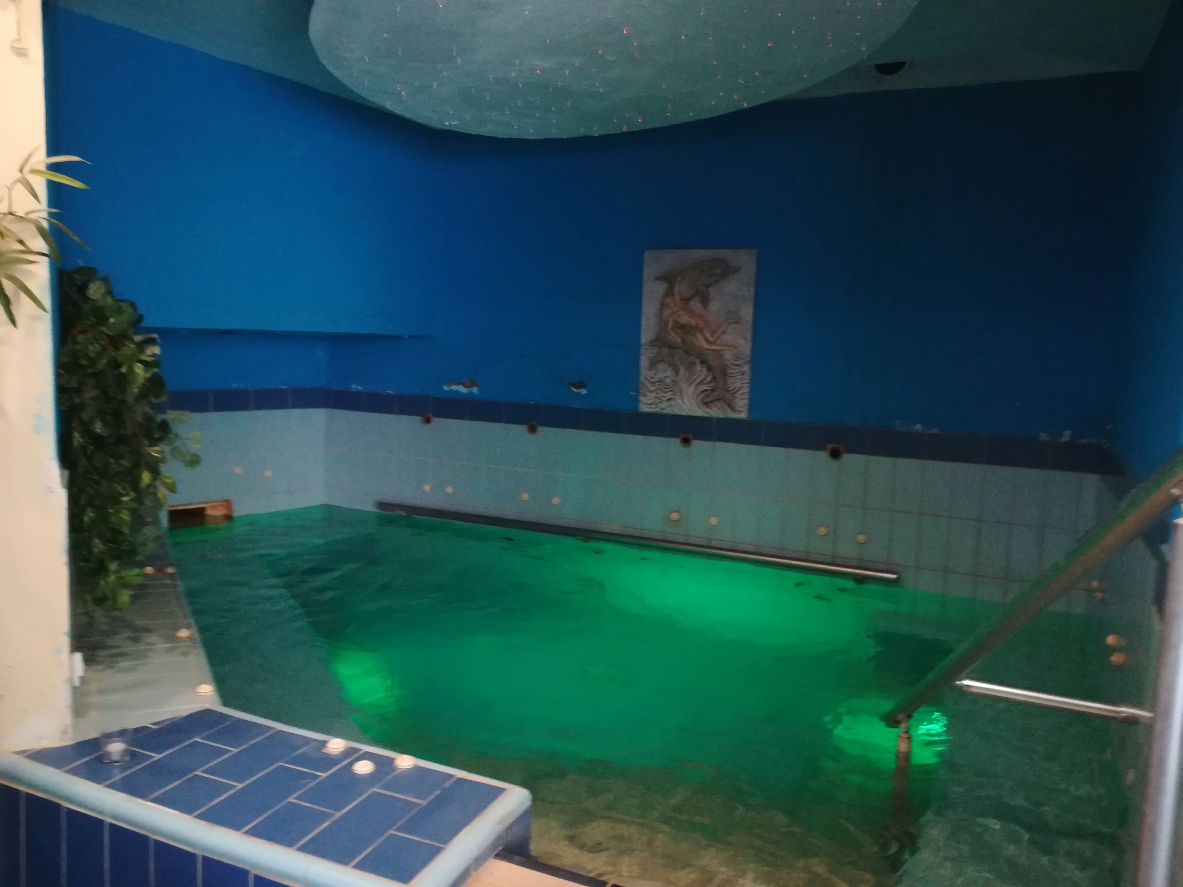 Ein Hallenbad mit blauen Wänden und einem grünen Boden, ein Wandgemälde an der Wand und eine Treppe, die zum Pool führt.