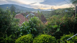A lush garden with a variety of plants and trees, a traditional house with a red roof, and a mountainous backdrop. - The Bala's Holiday Chalet (Tanah Rata)
