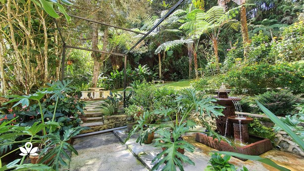 A lush garden with a stone pathway, a small table, and a decorative water feature. - Arundina Cameron Highlands (Tanah Rata)