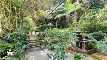 Tuin