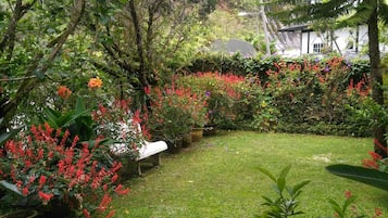 Jardín