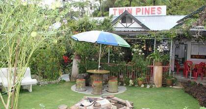 Twin Pines