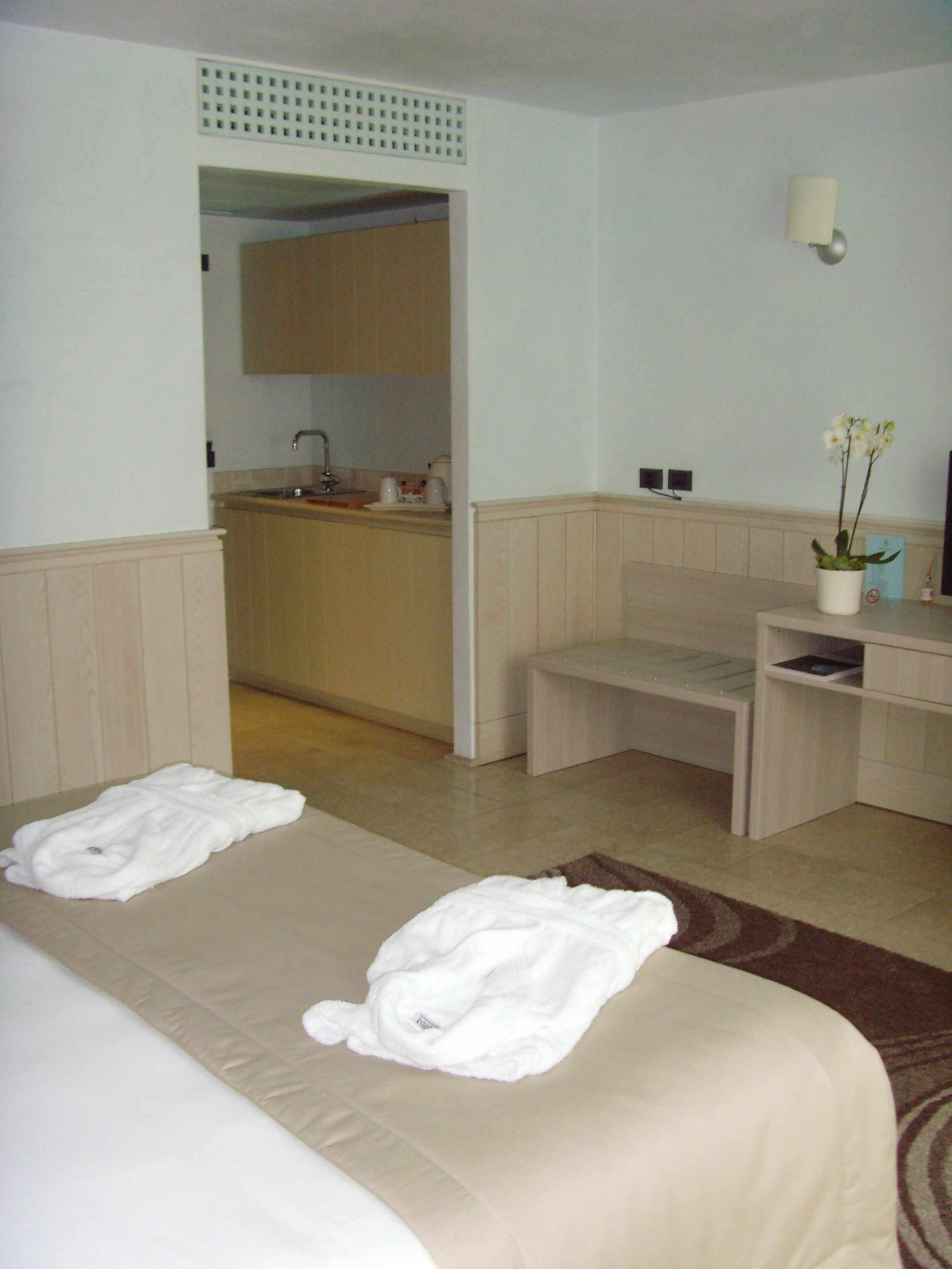 Habitación estándar con 1 cama doble o 2 individuales | Edredones de plumas, minibar, caja fuerte y escritorio
