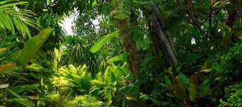 Ruen Kanok Thai House