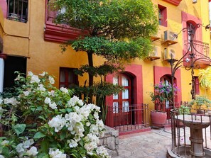 A courtyard with a tree, white flowers, and a fountain. - Hotel Casa del Sótano (Oaxaca)
