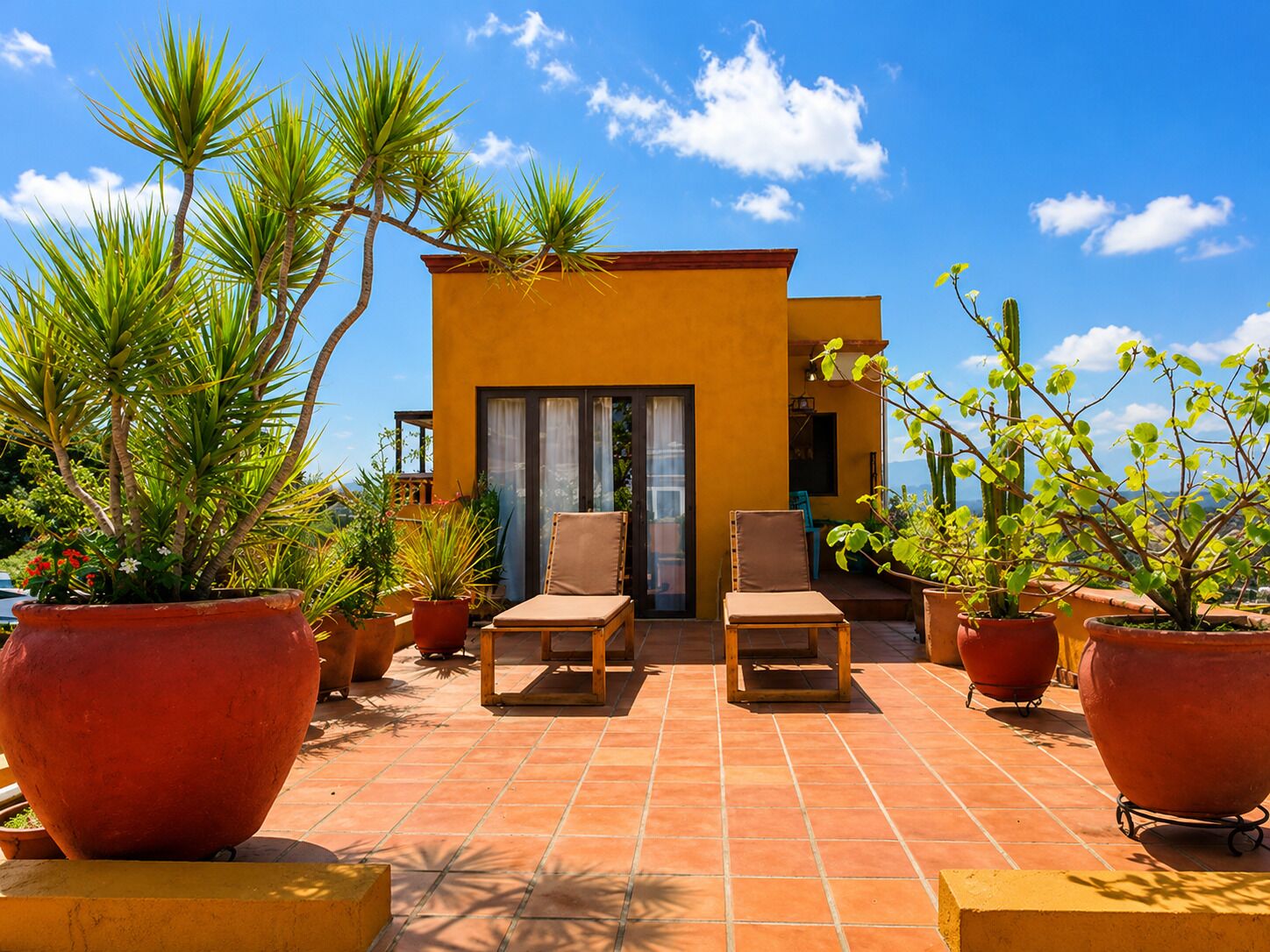 Apartamento júnior, 1 cama King, cozinha americana, vista para a montanha | Terraço/pátio
