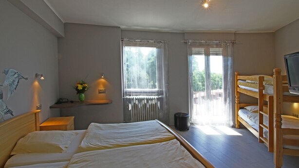 A bedroom with a large bed, a smaller bed on the right, a TV, a radiator, a window with curtains, a nightstand, and a vase with flowers. - Champ'Alsace Centre (Haguenau)