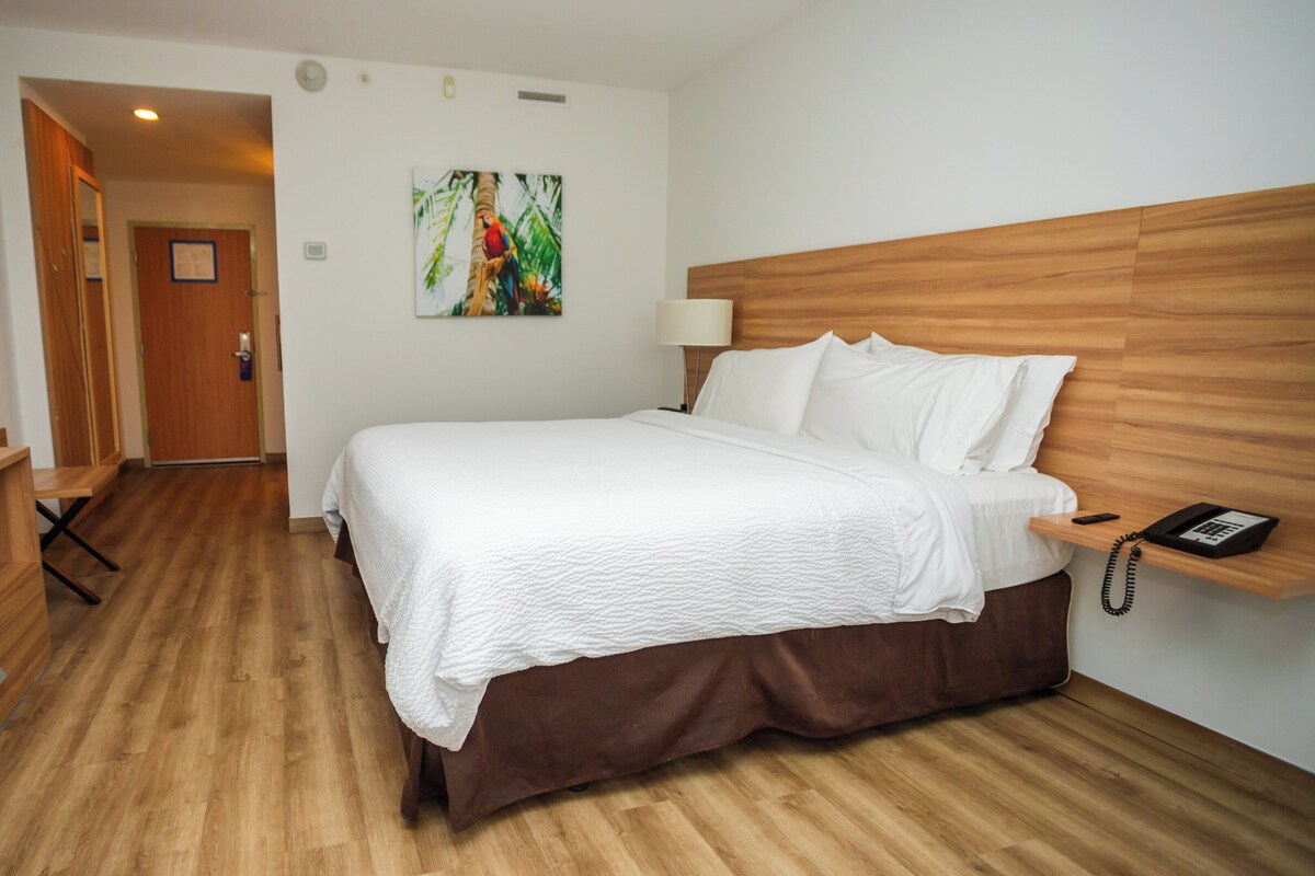 Une chambre d’hôtel avec un lit, un bureau avec un téléphone, une télévision et un tableau au mur.