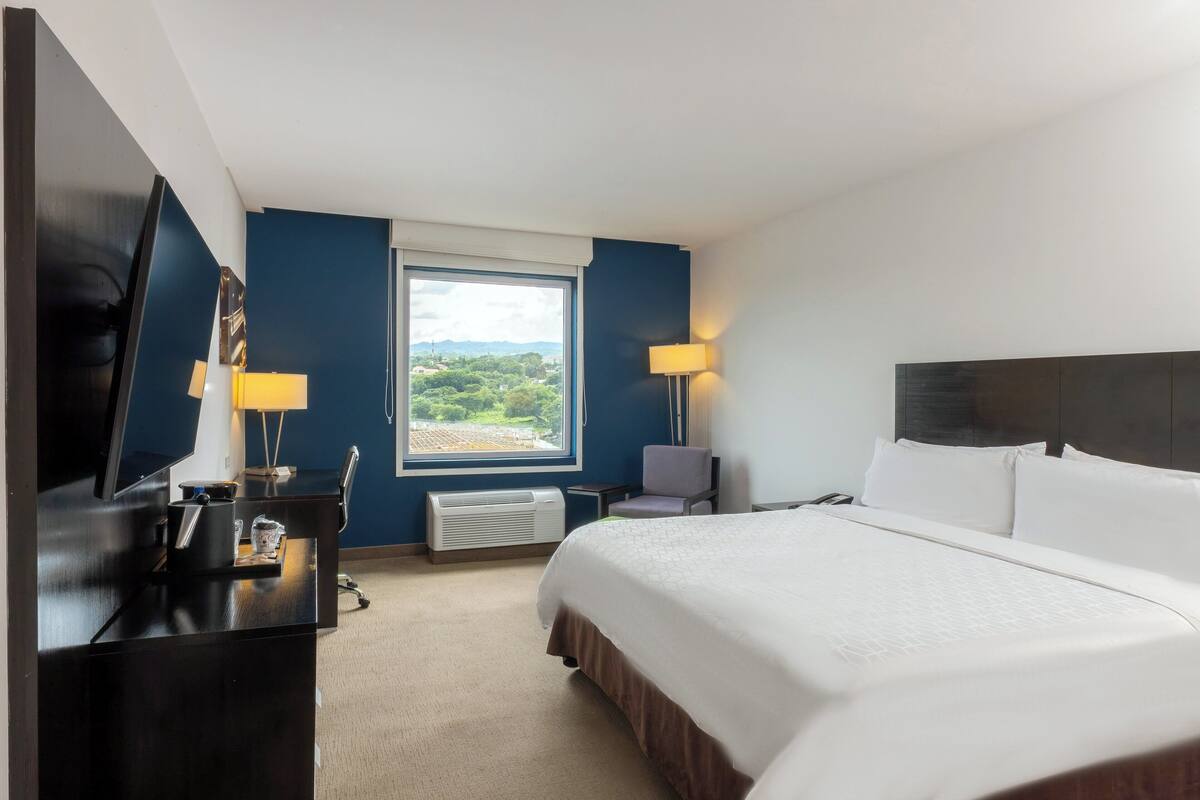 A hotel room with a bed, desk, chair, TV, and a window with a view.