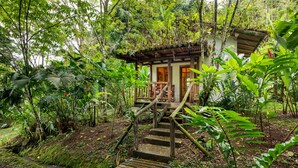 A wooden staircase leading to a small building surrounded by dense tropical vegetation. - Rancho Margot (Tronadora)