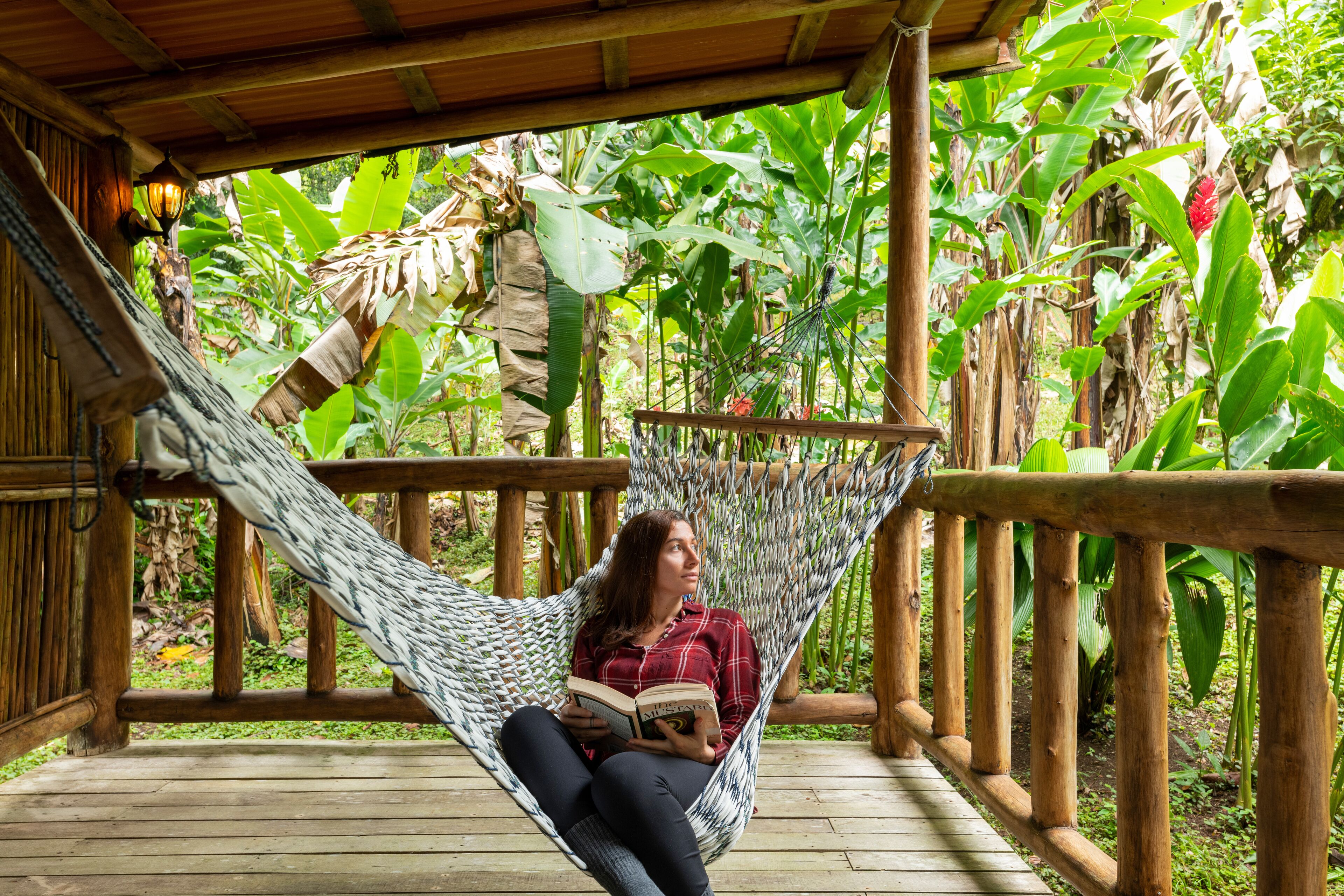 superior bungalow | view from room