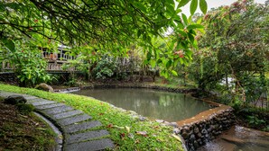 A garden with a pond, stone steps, and lush greenery. - Rancho Margot (Tronadora)