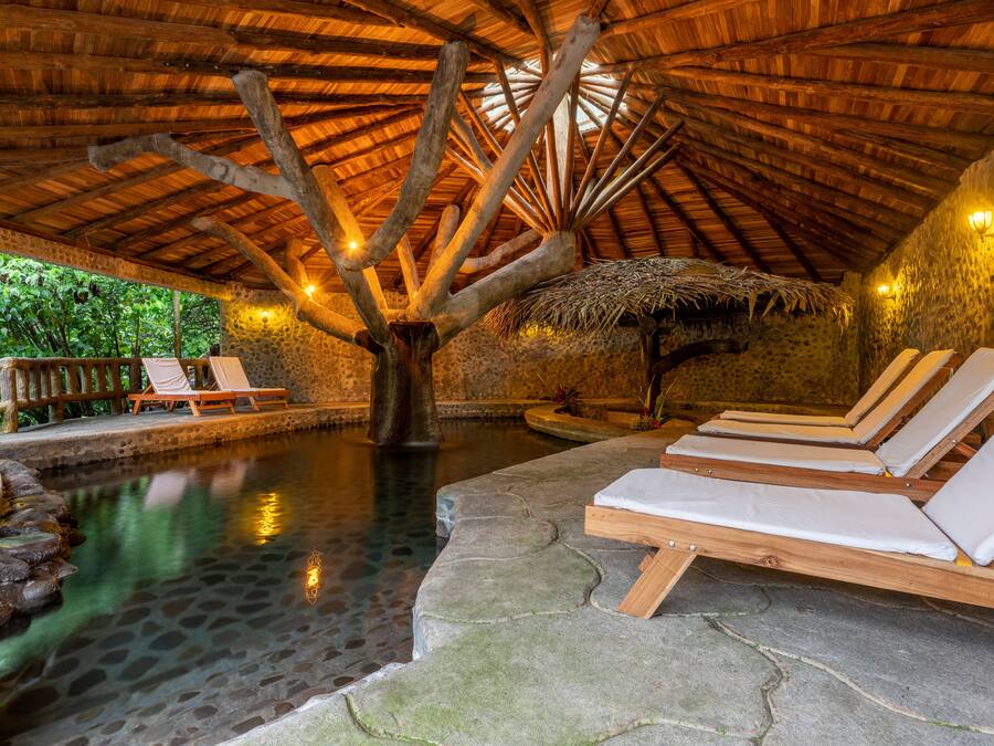 Indoor pool, outdoor pool, pool loungers