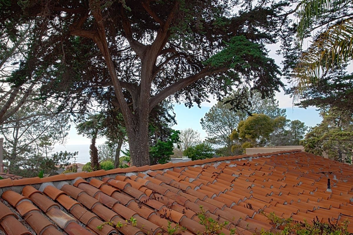 A tiled roof with a tree in the background.
