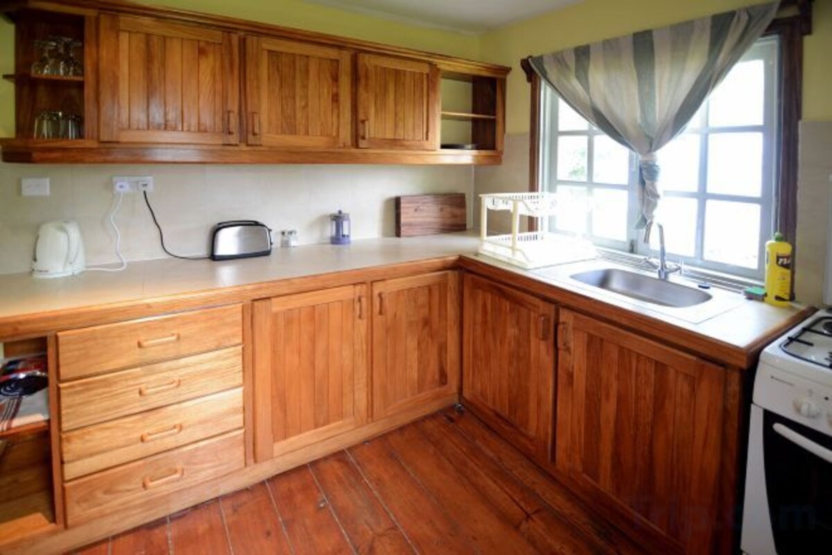 Private kitchen | Electric kettle, highchair, ice maker, paper towels