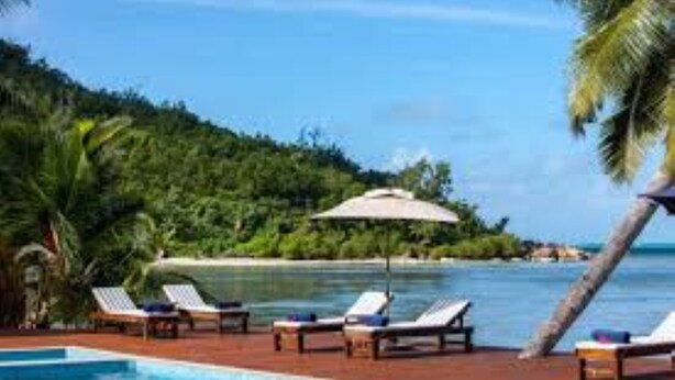 A poolside area with lounge chairs and a palm tree. -  Le Vasseur La Buse Eco Resort (Praslin Island)