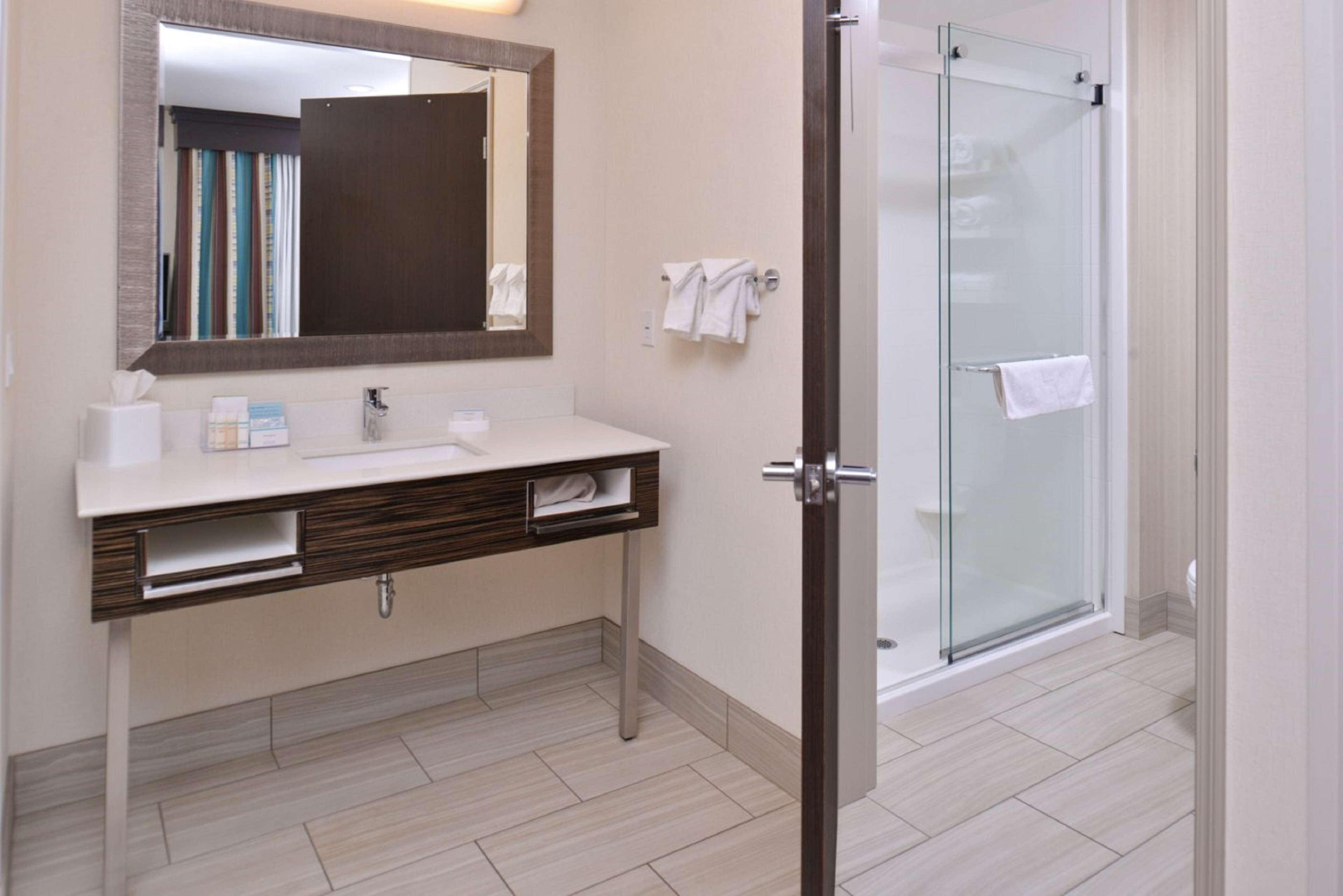 room, 1 king bed, accessible, non smoking | bathroom shower