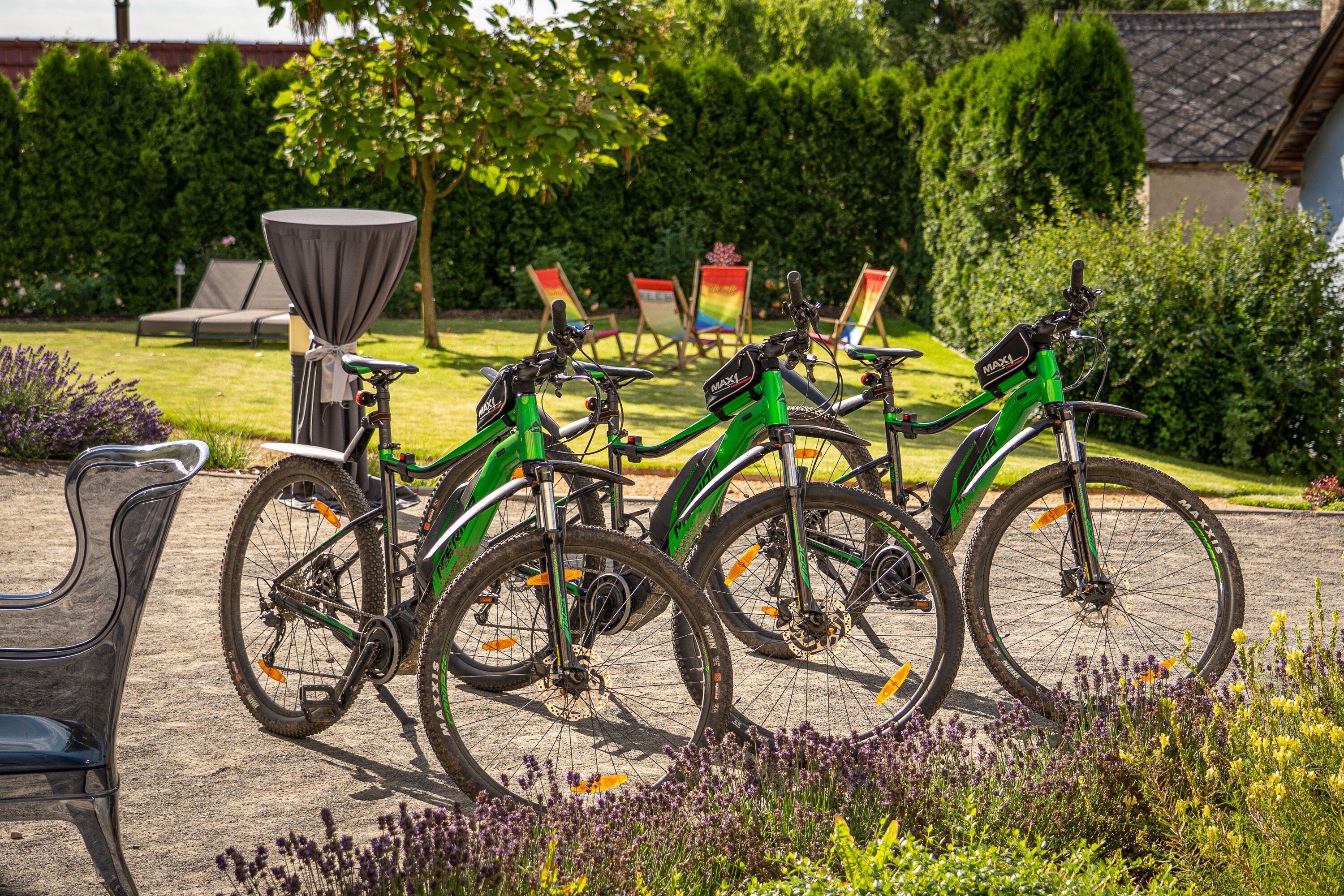 Een rij groene fietsen geparkeerd in een tuin met een bank en een tafel.