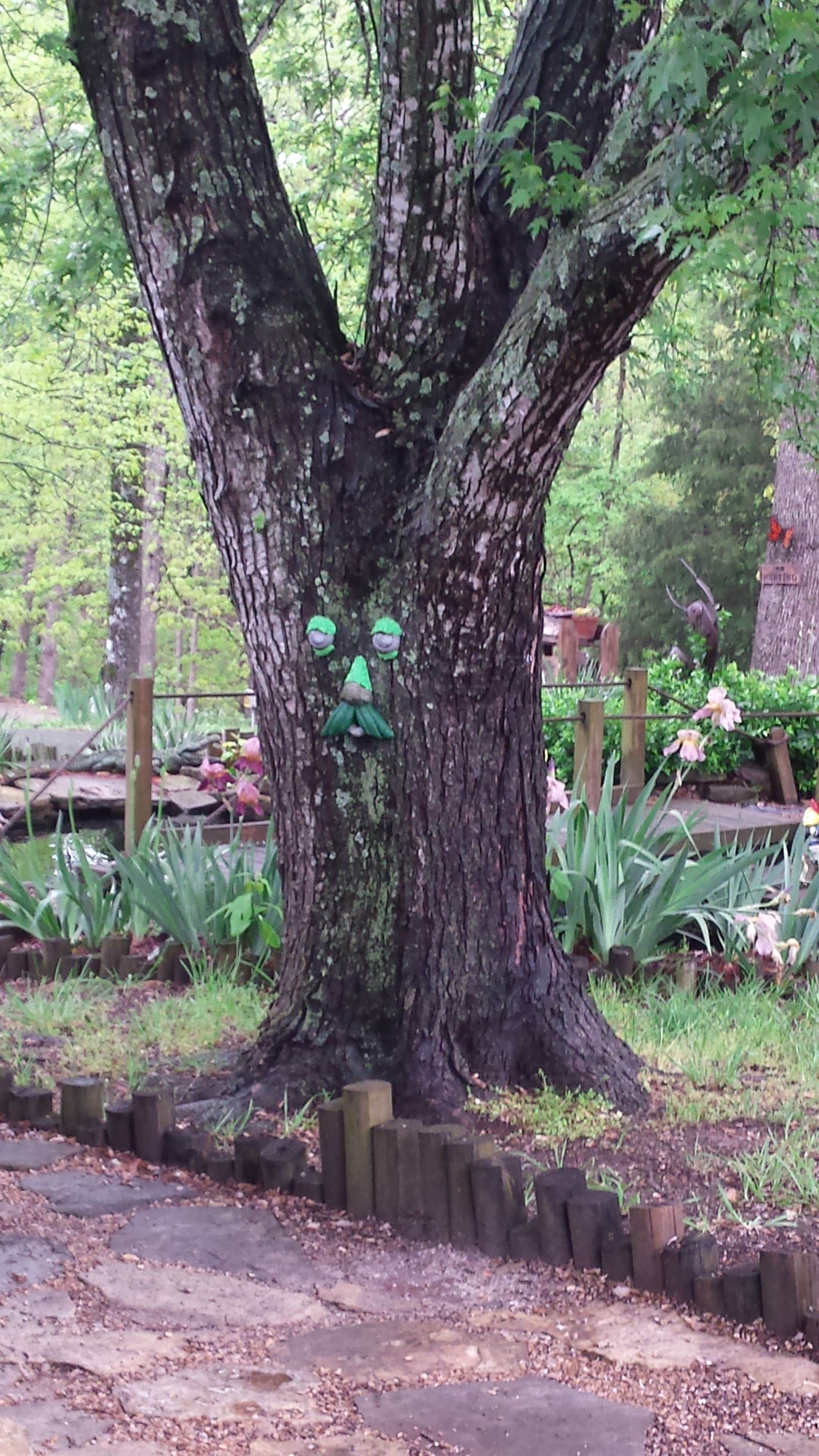 A large tree with a wooden fence around its base.