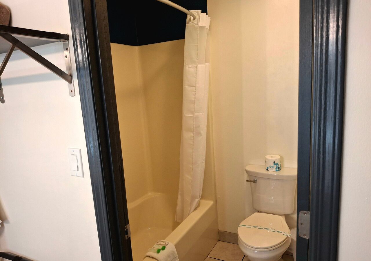 A bathroom with a shower, toilet, and a door.