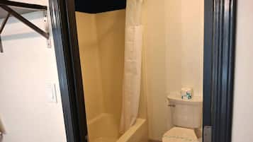 A bathroom with a shower, toilet, and a door.