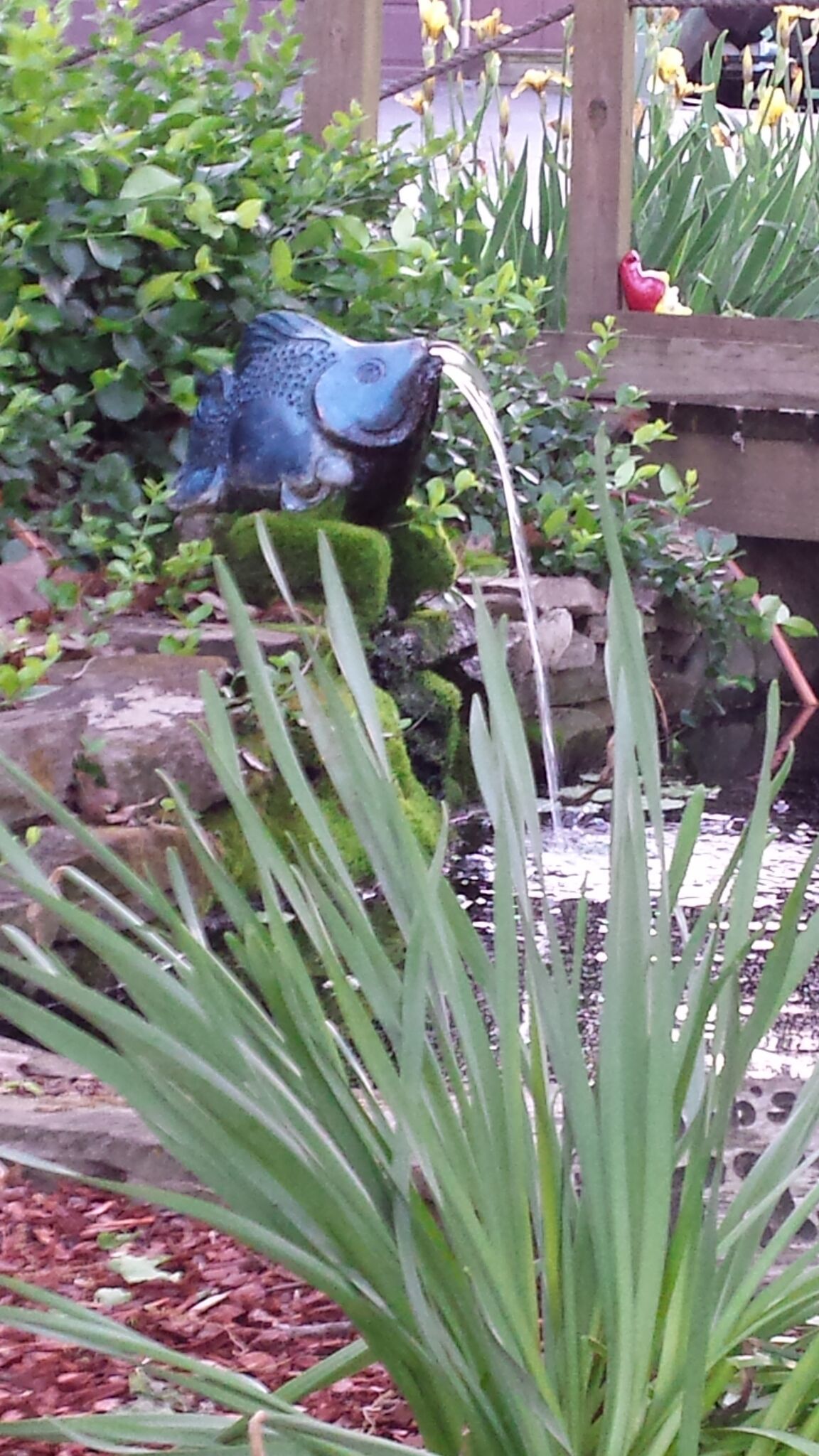 Un jardín con una fuente con forma de rana, un pequeño estanque y diversas plantas.