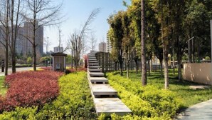 Jardim