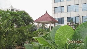Property grounds - Huaweida Hotel (Guangzhou)