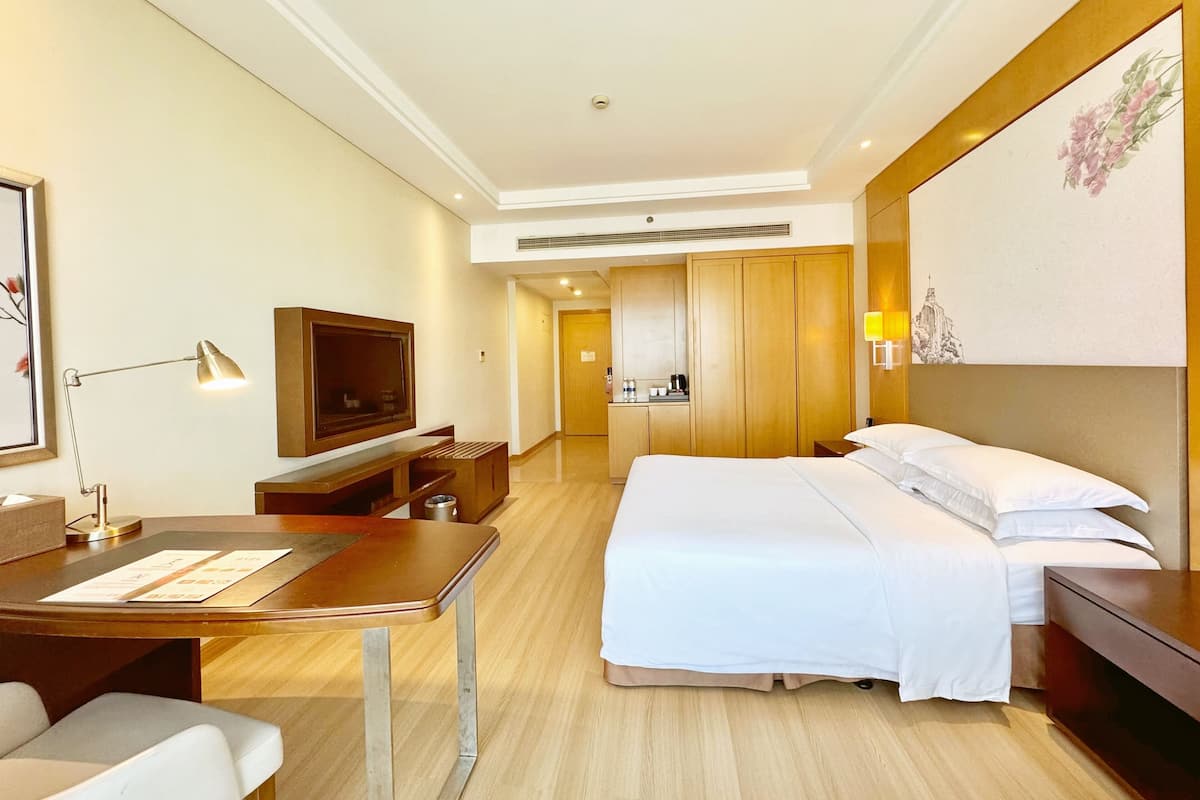 Habitación de hotel con cama, escritorio con silla, televisor, armario y un cuadro en la pared.