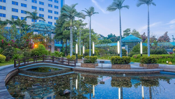 Un hotel con piscina, palmeras y un puente.