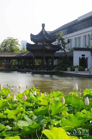 Ngoại thất
