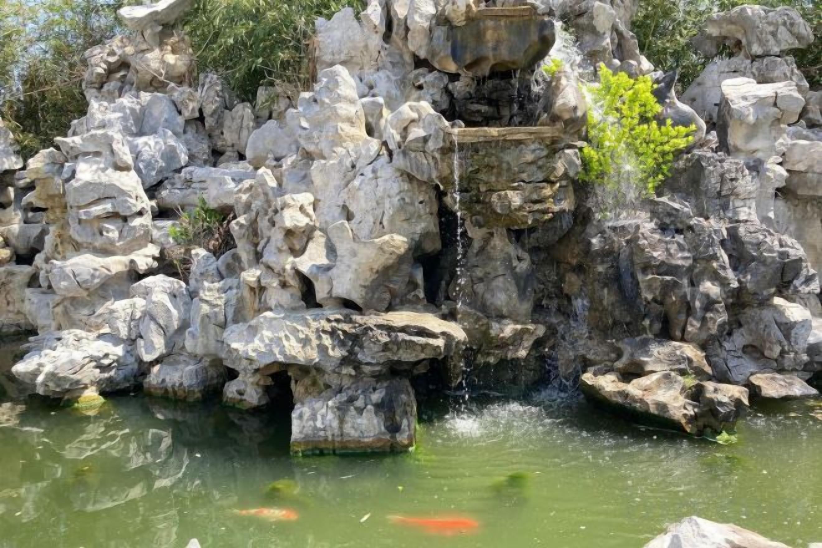 Una fuente rocosa con cascada y carpas.