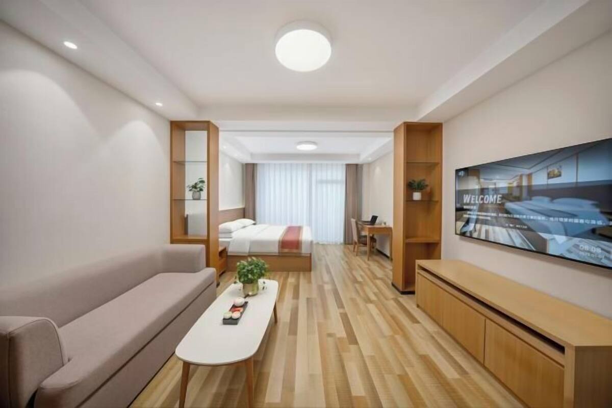 Een moderne hotelkamer met een bank, een klein tafeltje met een plant, een televisie en een houten kast.