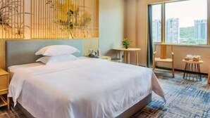 Ảnh chưa phân loại, 3 trong số 56 ảnh, nút