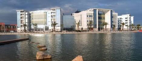 A modern hotel with a pool area, featuring a calm water feature with rocks, and a backdrop of contemporary buildings.