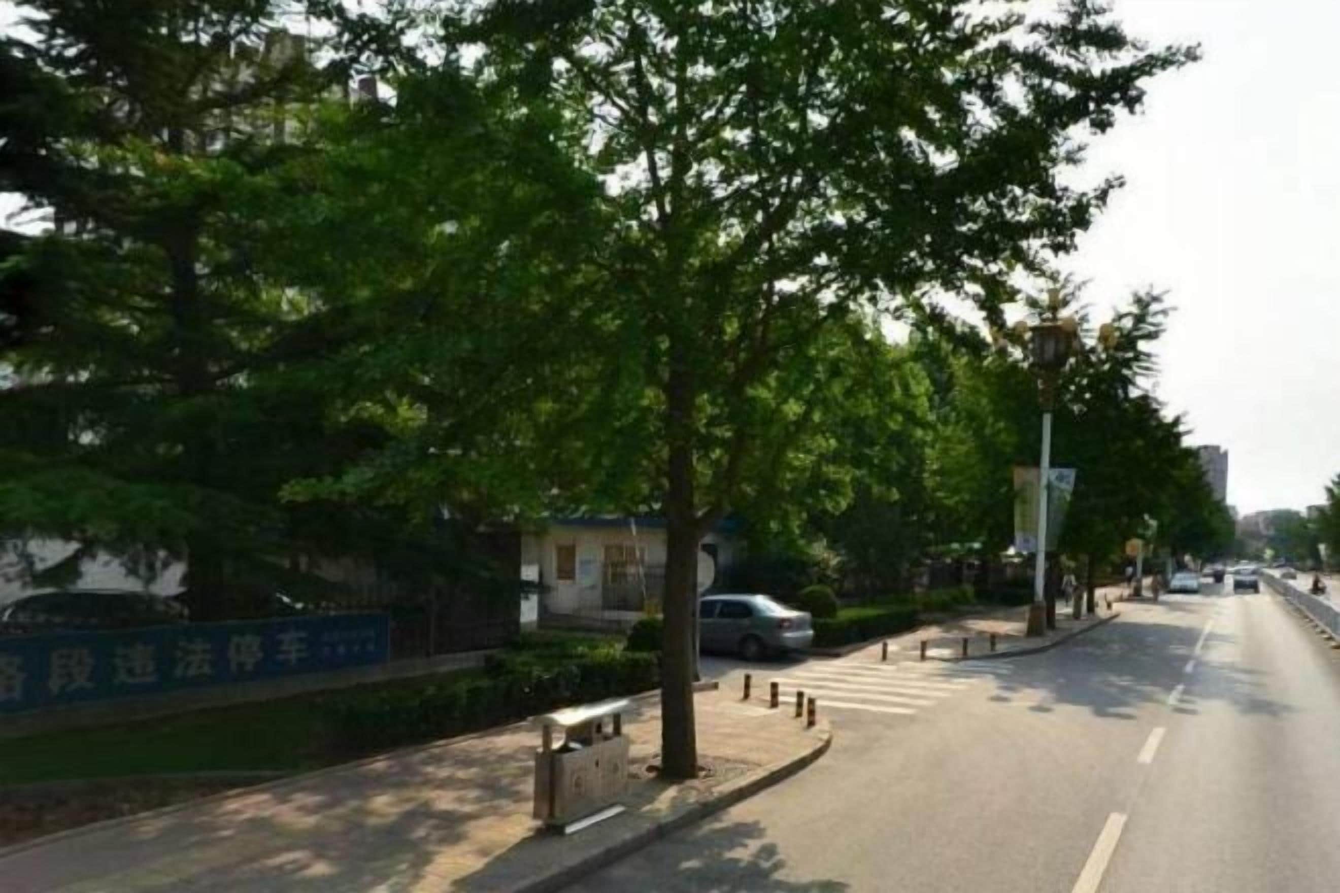 Une rue avec un trottoir, des arbres et un panneau indicateur.