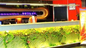 Lobby - Motel 168 Hotel Shanghai Kaixuan Road (Shanghai)