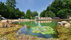Un étang aux eaux claires, parsemé de nénuphars et de rochers, entouré d’arbres et agrémenté d’une terrasse en bois avec des chaises.