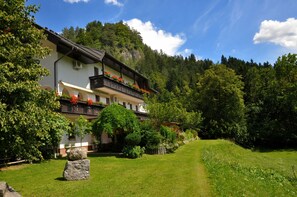 Terrain de l’hébergement 