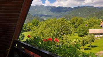 Chambre Quadruple | Vue de la chambre