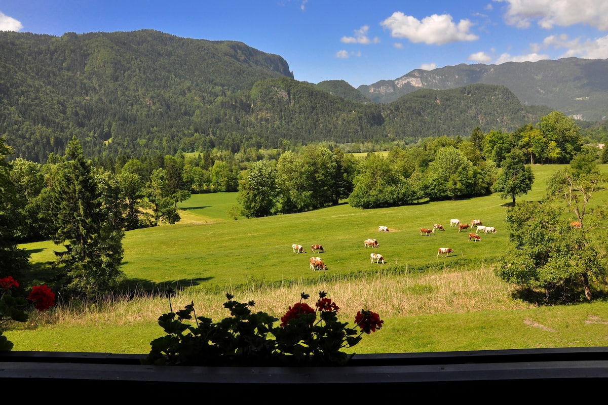 Ländliche Landschaft mit einem grünen Feld, Bäumen und Bergen im Hintergrund.