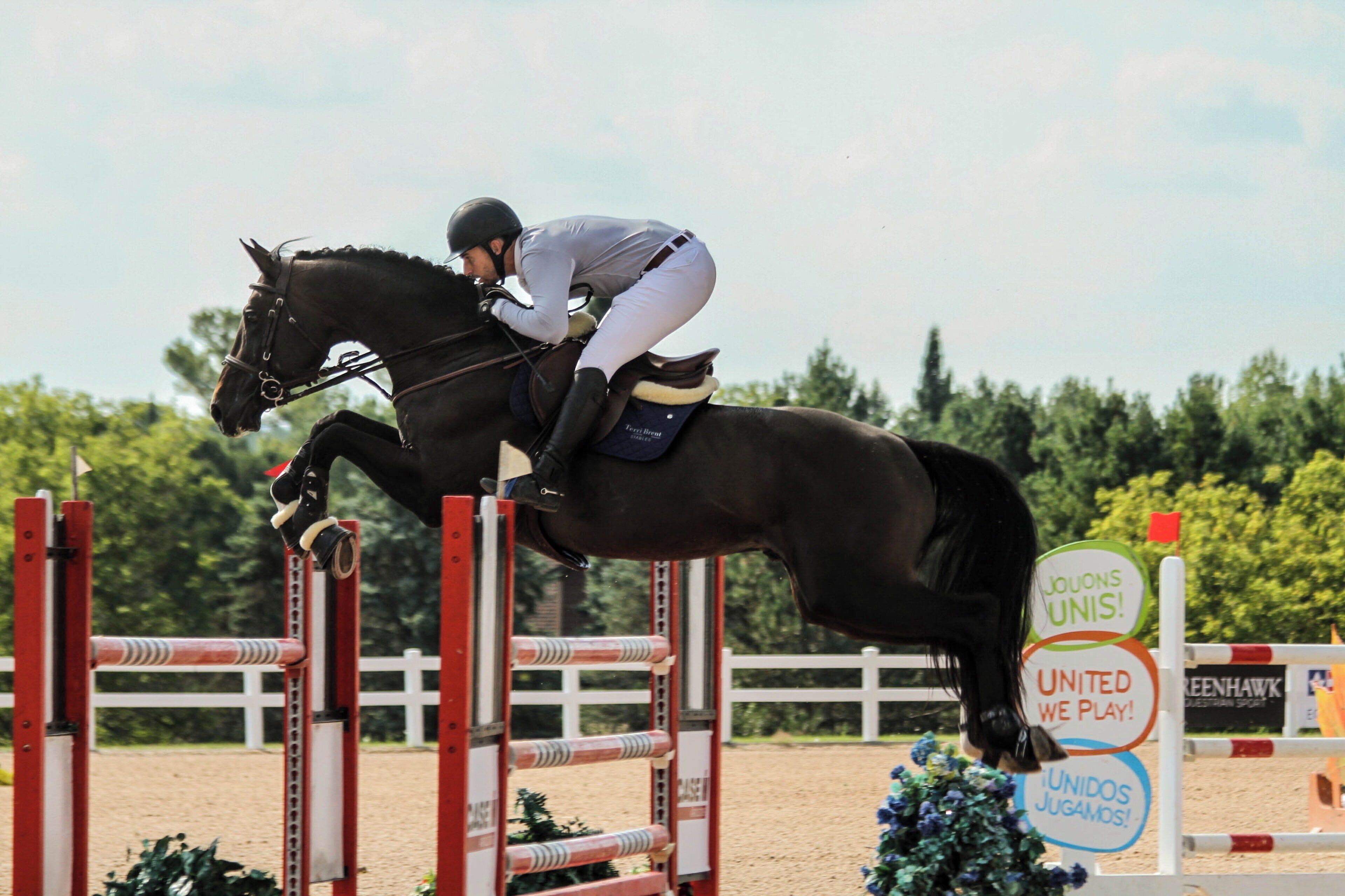 A horse and rider jumping over an obstacle in an equestrian event.