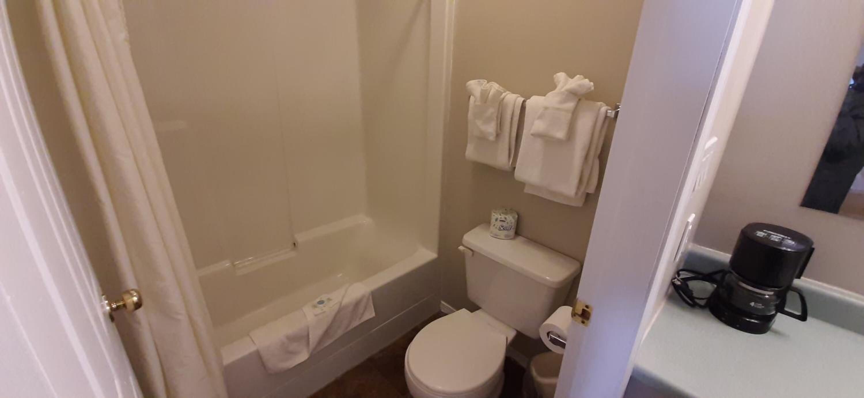 A small bathroom with a toilet, shower, and a coffee maker on the counter.